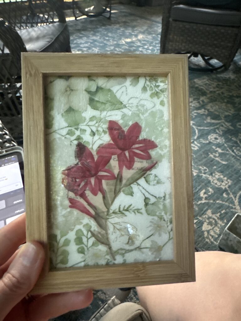 Antique Herbarium Framed Floral Art