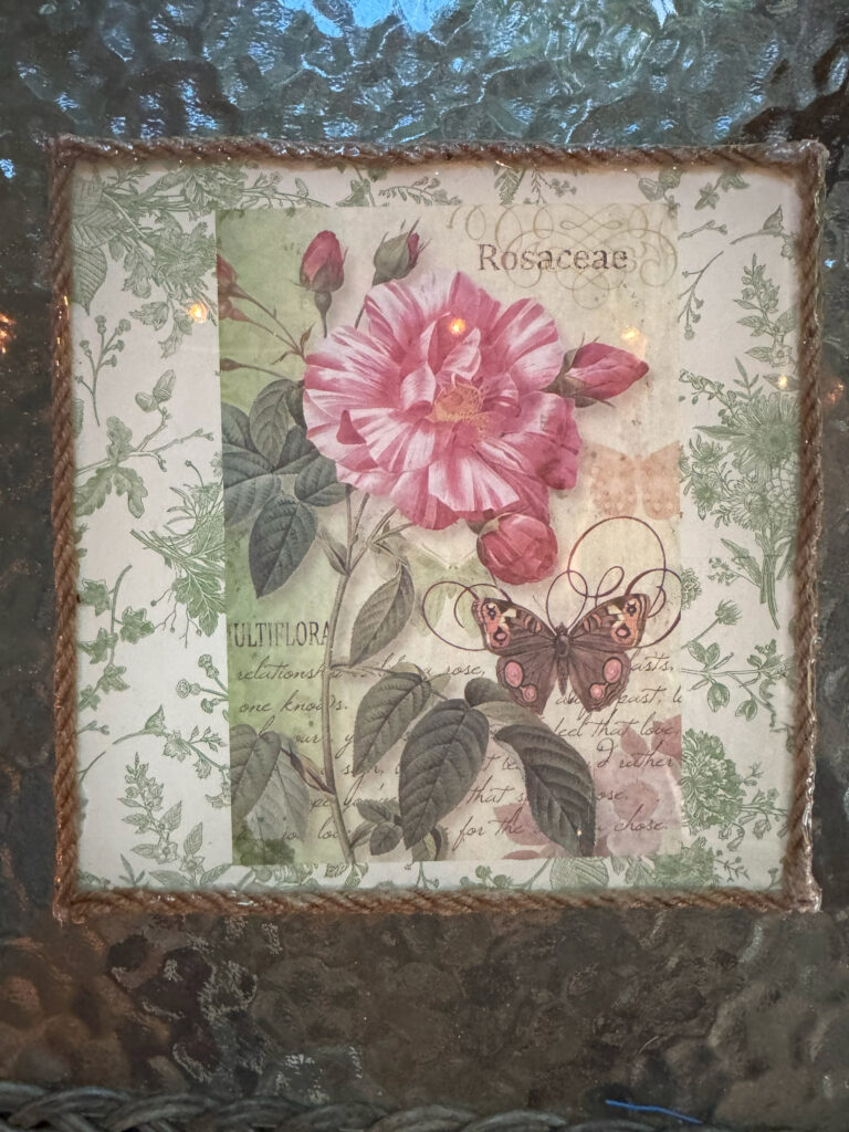 Antique Herbarium: Rosaceae Bloom Wall Art